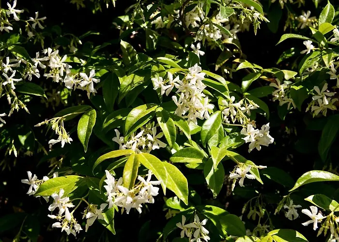 Dom wakacyjny A Casa Di Luca