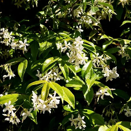 Дом отдыха A Casa Di Luca